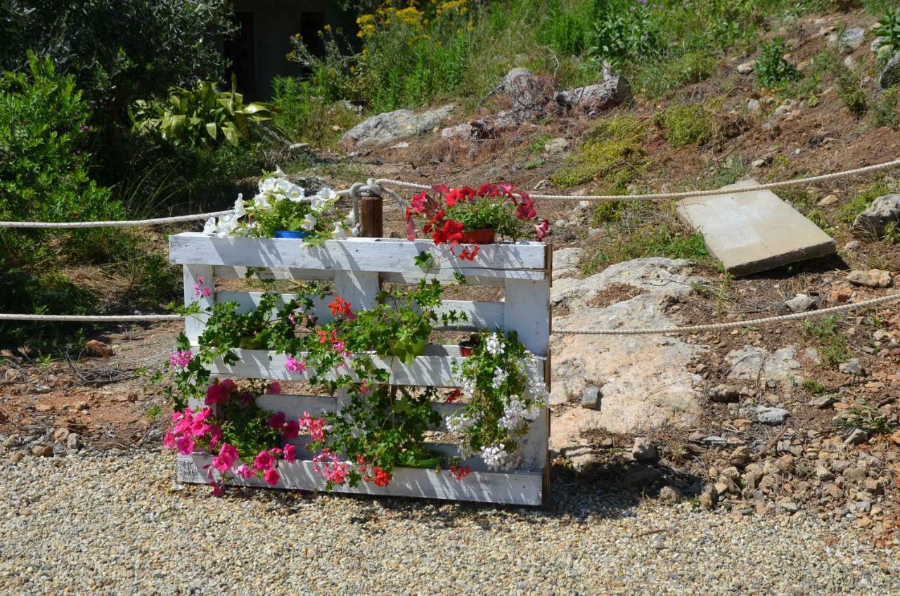 Agriturismo Tendapiccola Ceriale Bagian luar foto